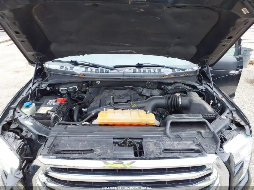2015 FORD F-150 XLT