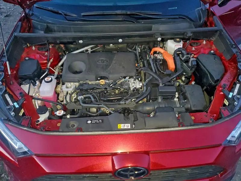 2025 TOYOTA RAV4 XLE  