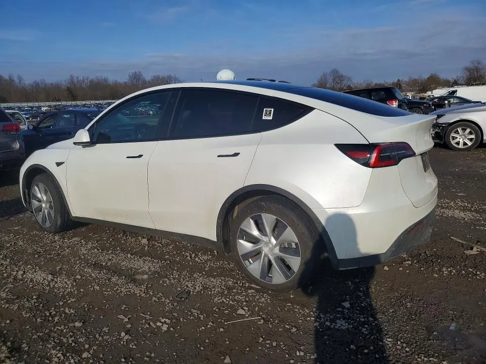 2021 TESLA MODEL Y   