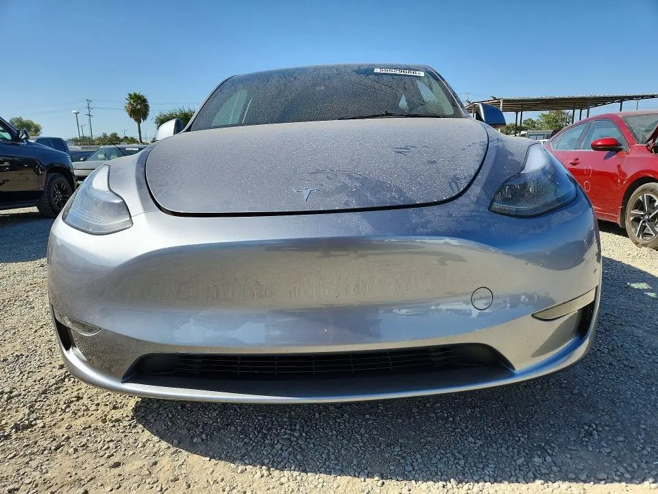 2025 TESLA MODEL Y   