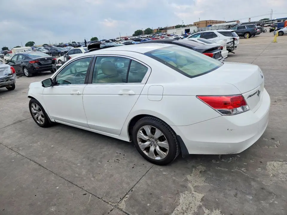 2010 HONDA ACCORD EXL  