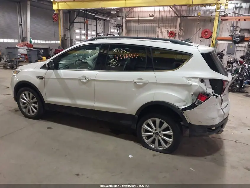 2019 FORD ESCAPE SEL