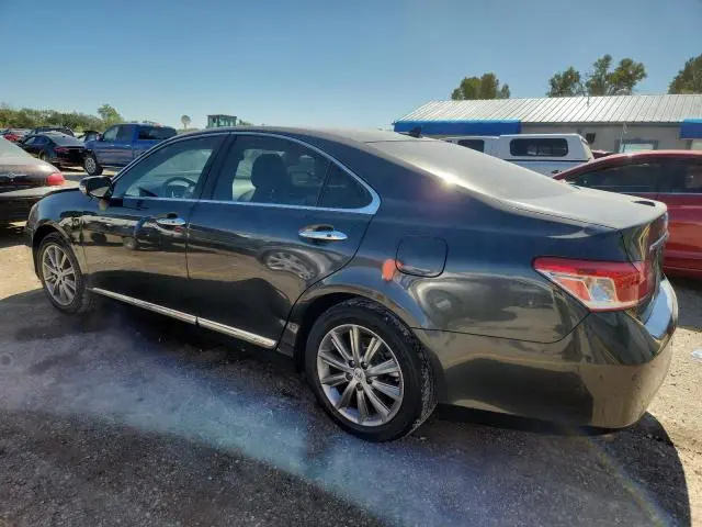 2011 LEXUS ES 350  