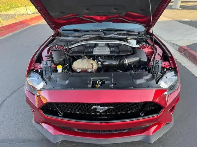 2019 FORD MUSTANG GT  