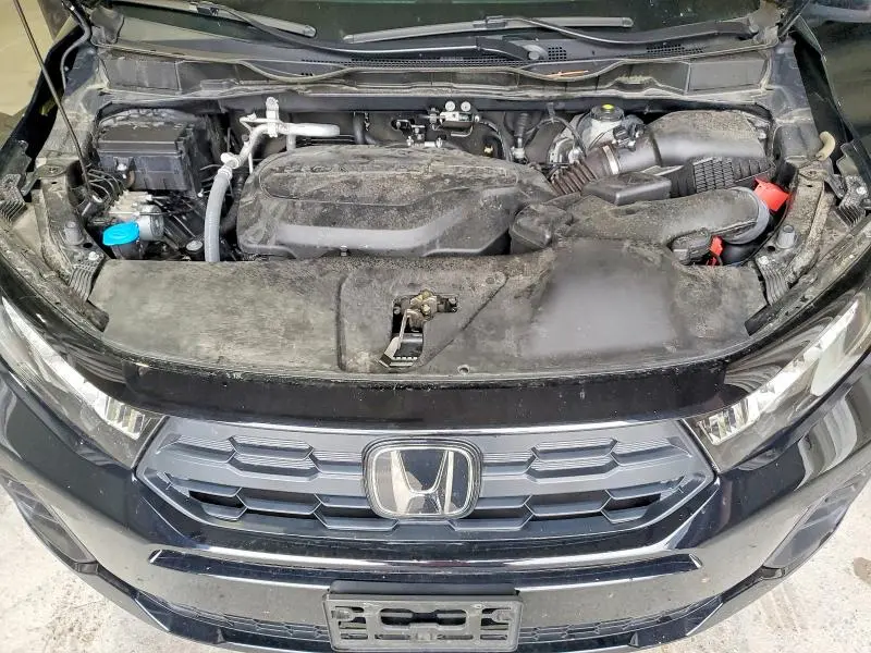 2025 HONDA ODYSSEY EXL  