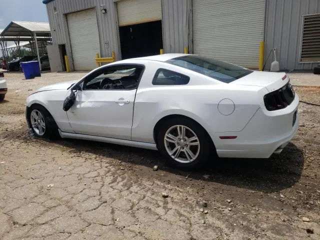 2014 FORD MUSTANG   