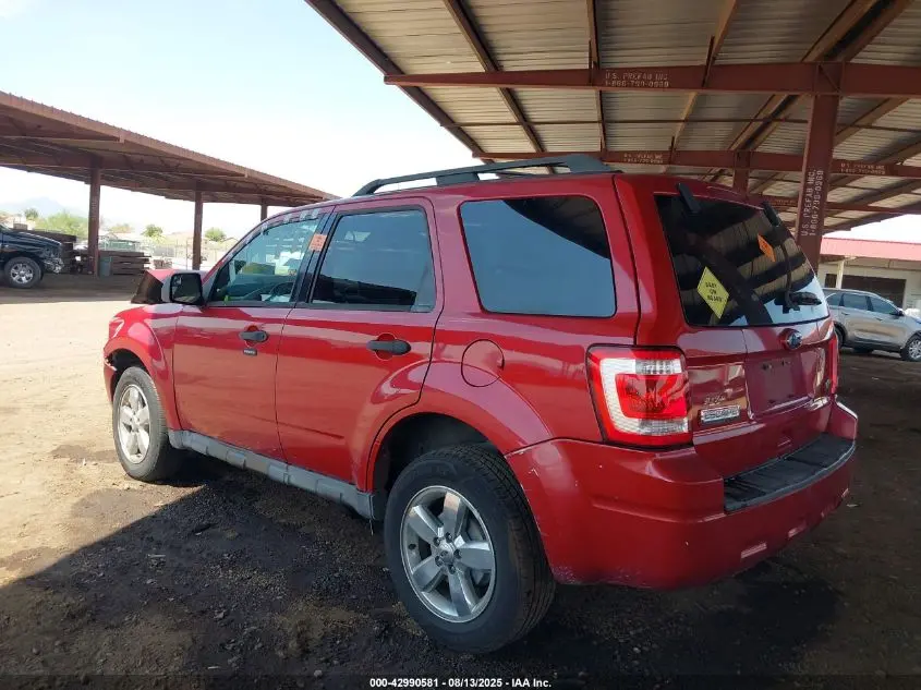 2010 FORD ESCAPE XLT