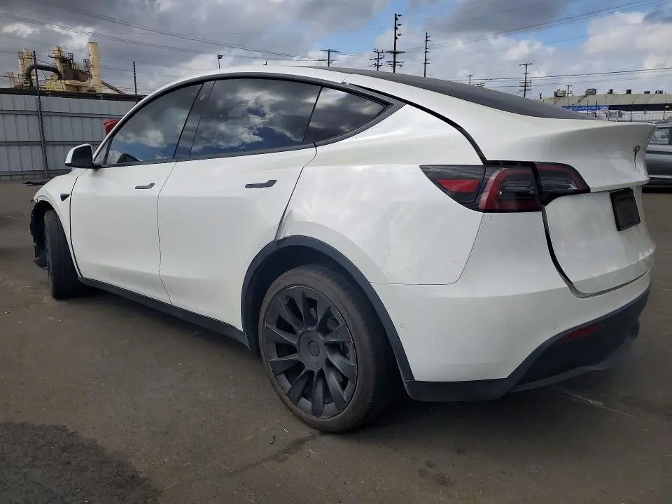 2021 TESLA MODEL Y   