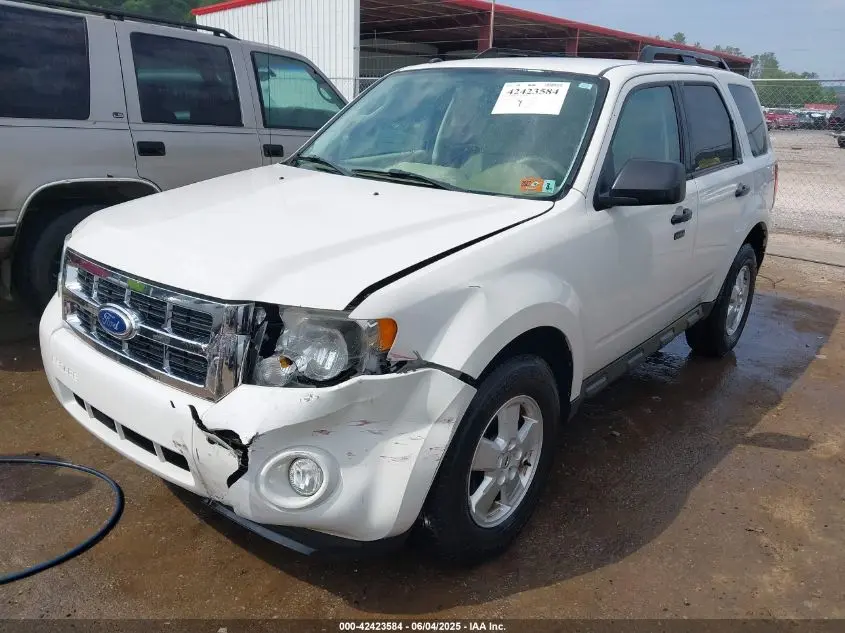2010 FORD ESCAPE XLT
