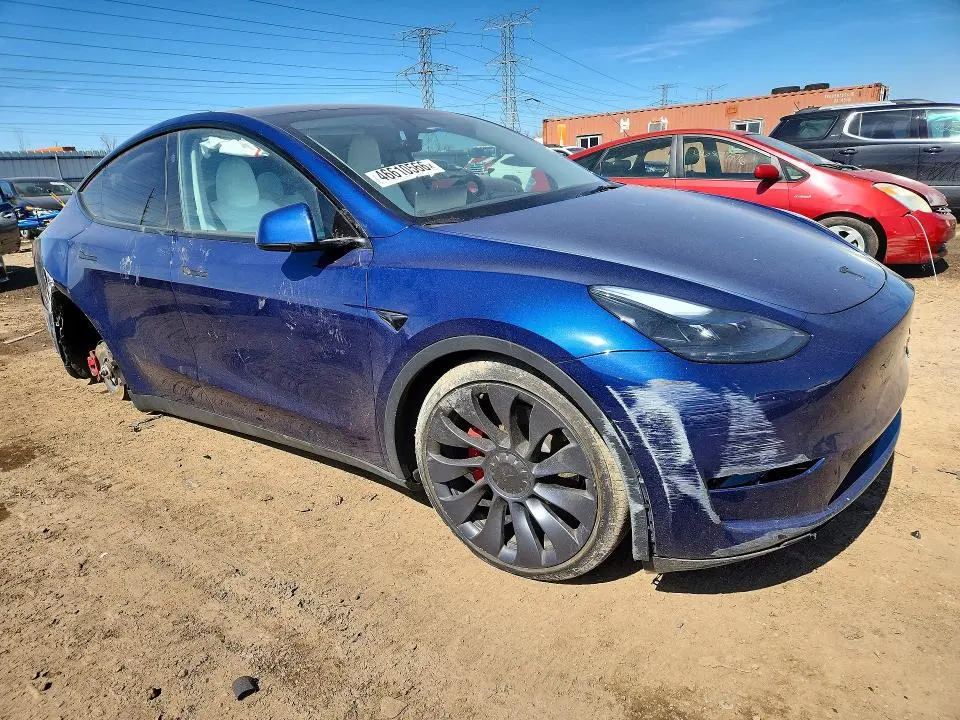 2024 TESLA MODEL Y   