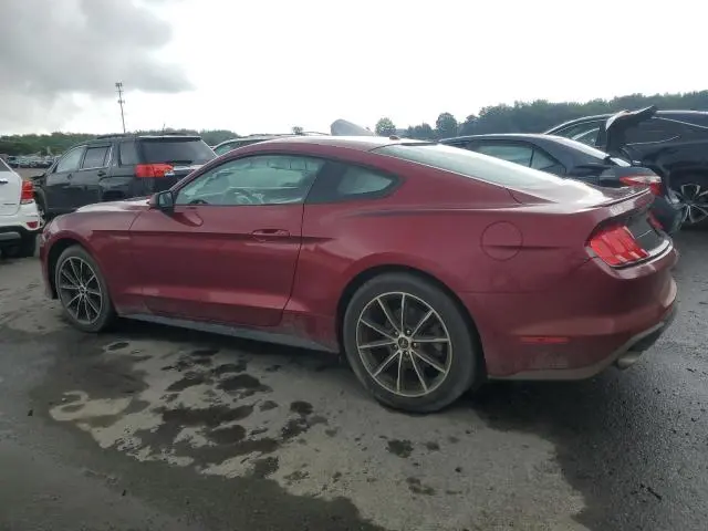 2019 FORD MUSTANG   
