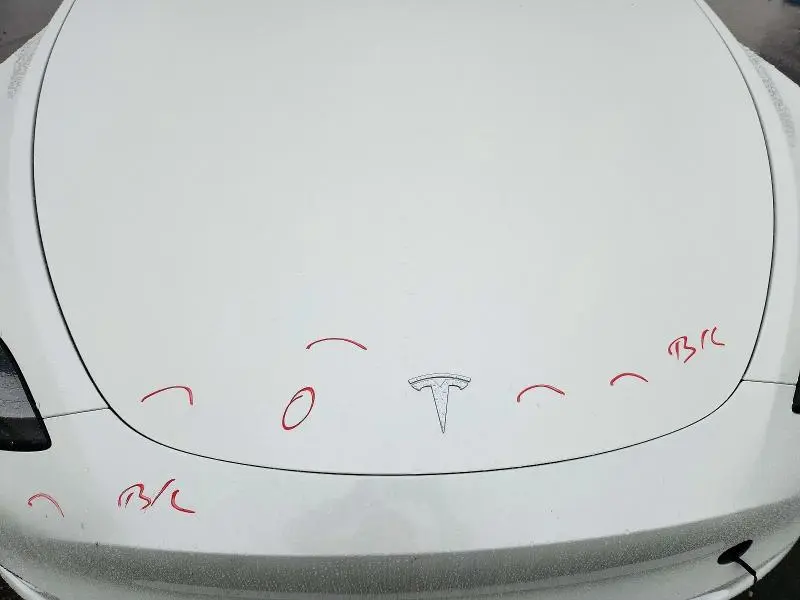 2021 TESLA MODEL Y   