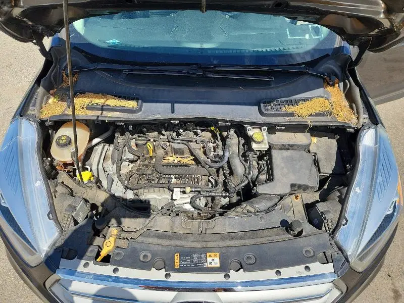 2019 FORD ESCAPE SEL  