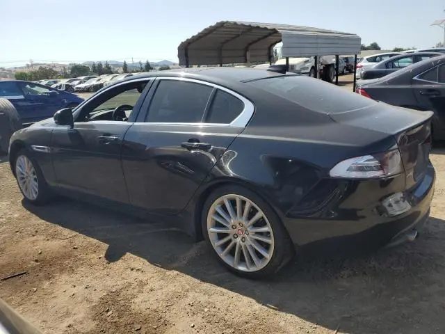 2019 JAGUAR XE PORTFOLIO  