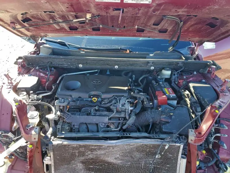 2019 TOYOTA RAV4 XLE  