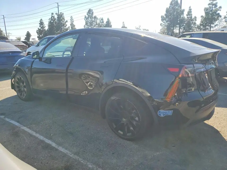 2021 TESLA MODEL Y   