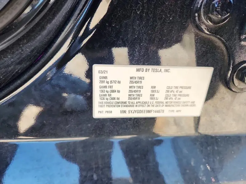 2021 TESLA MODEL Y   