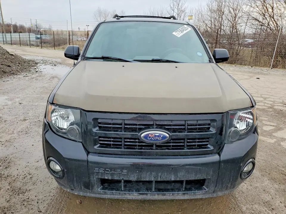 2010 FORD ESCAPE XLT  