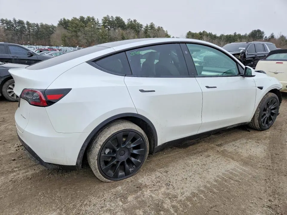 2025 TESLA MODEL Y   
