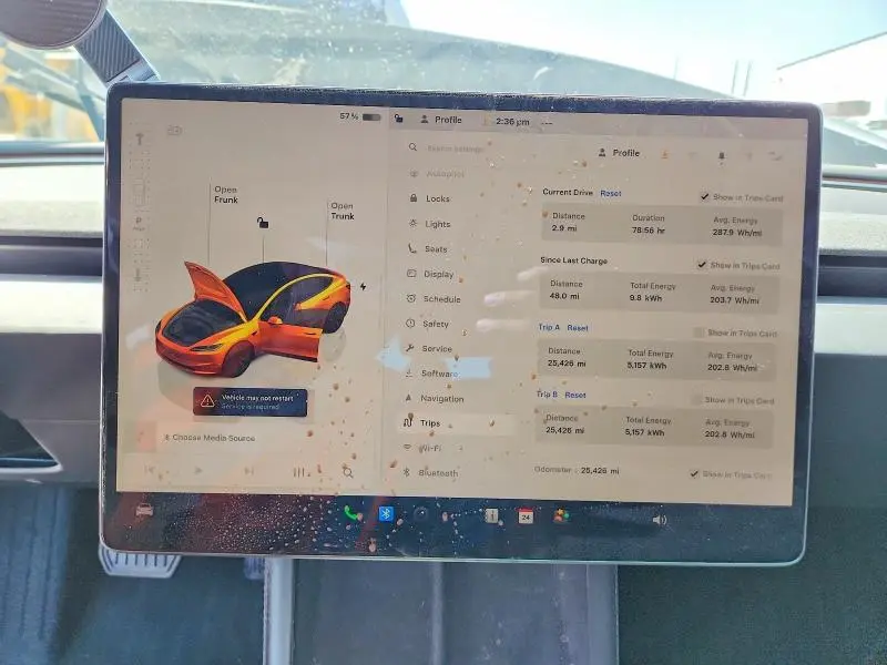 2025 TESLA MODEL 3   