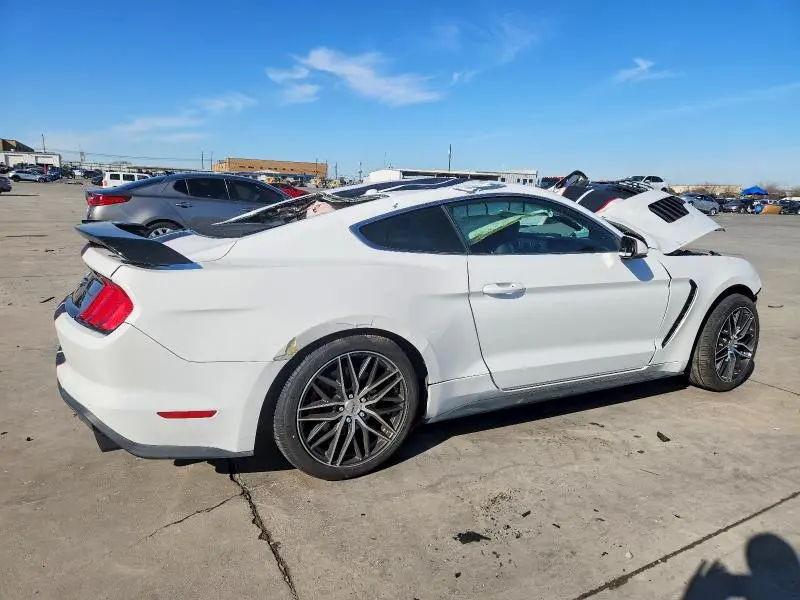 2019 FORD MUSTANG   