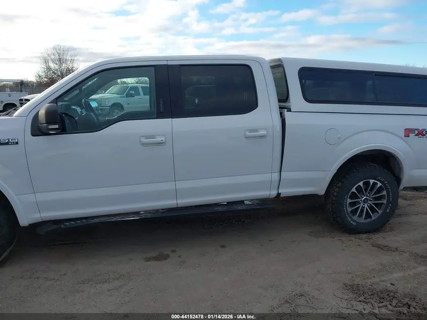 2019 FORD F-150 XLT