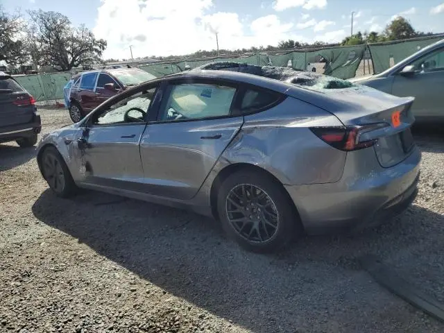 2025 TESLA MODEL 3   