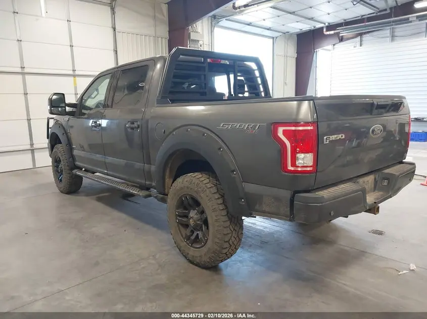 2015 FORD F-150 XLT