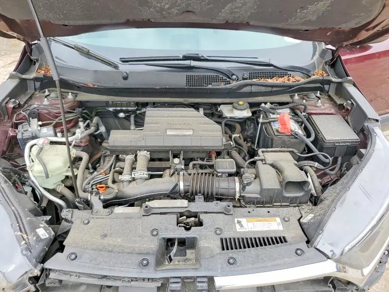 2019 HONDA CR-V EX  
