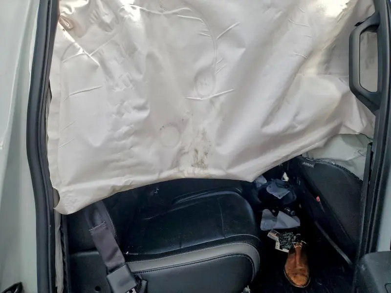 2017 FORD F150 RAPTOR  