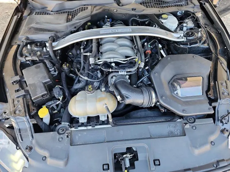 2019 FORD MUSTANG GT  