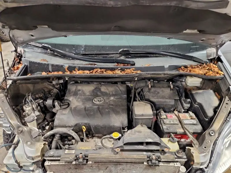 2014 TOYOTA SIENNA LE  