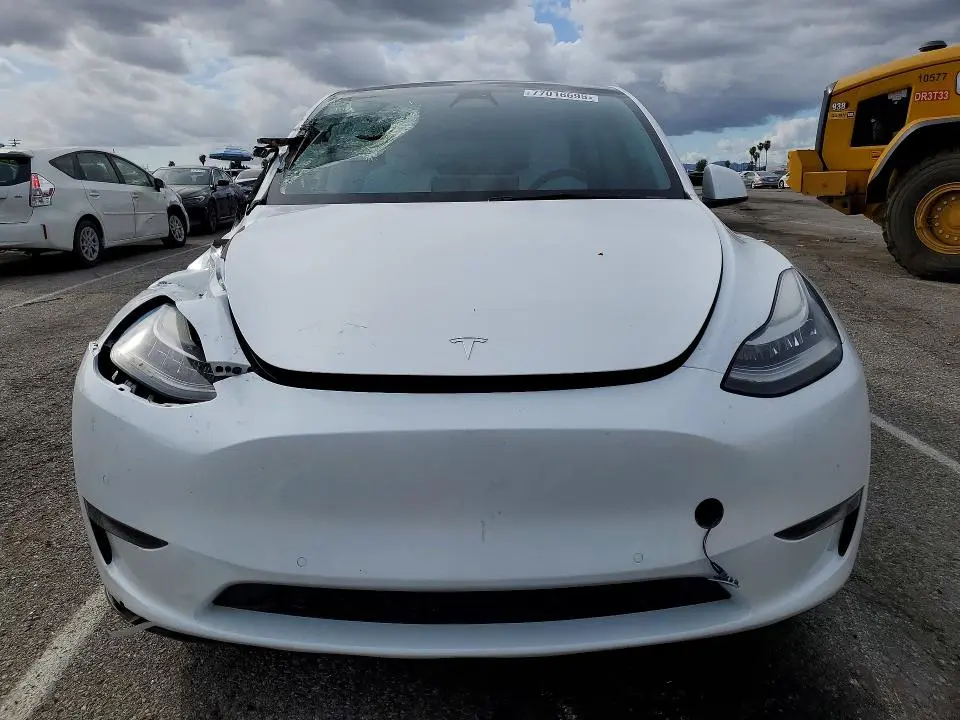 2021 TESLA MODEL Y   