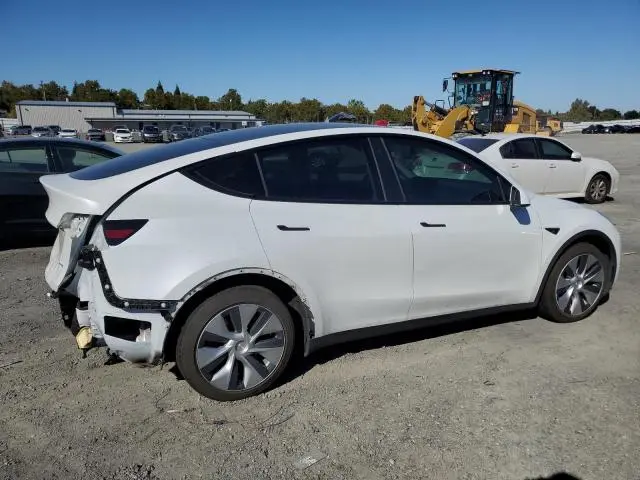 2021 TESLA MODEL Y   