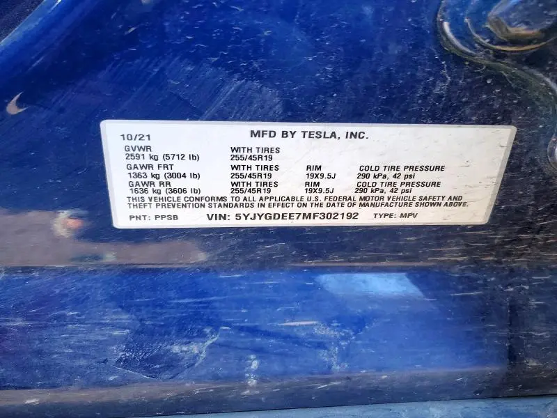2021 TESLA MODEL Y   