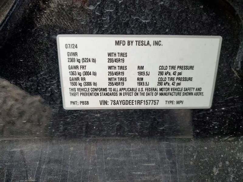 2024 TESLA MODEL Y   