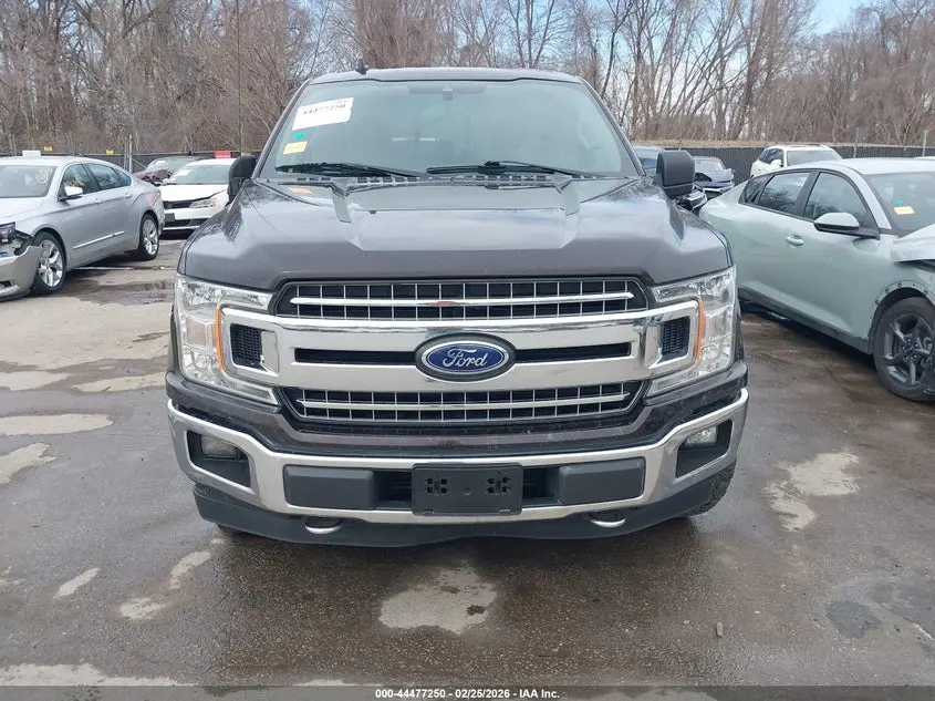 2019 FORD F-150 XLT