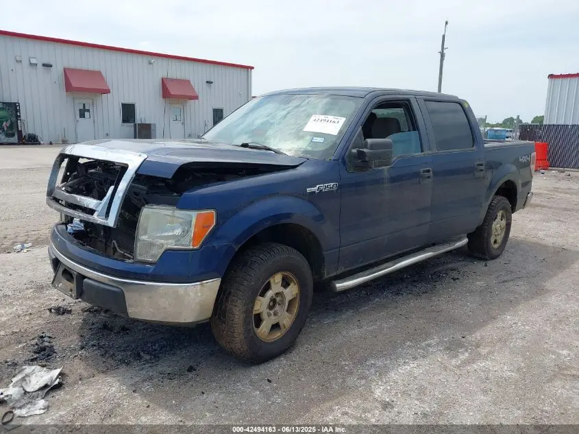 2010 FORD F-150 XL/XLT