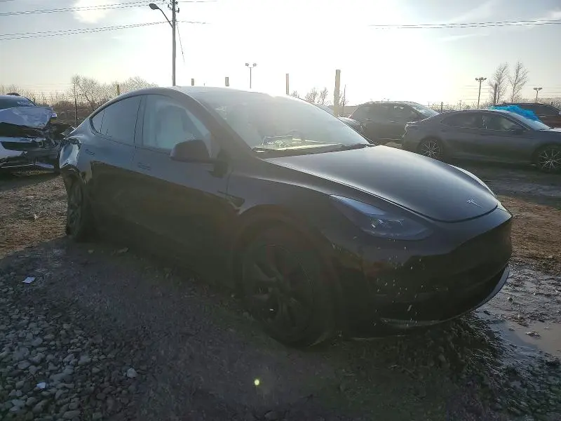 2024 TESLA MODEL Y   