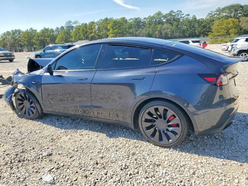 2025 TESLA MODEL Y   