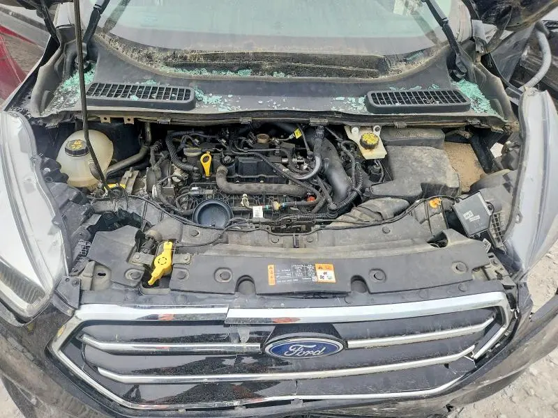 2019 FORD ESCAPE SE  