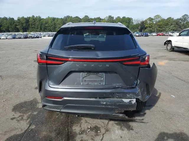 2023 LEXUS NX 350  