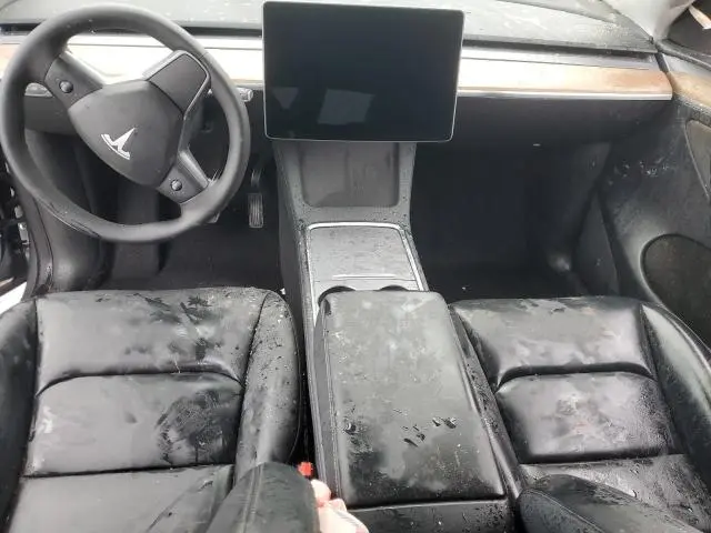 2025 TESLA MODEL Y   