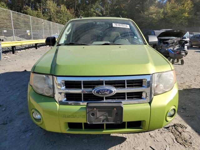 2011 FORD ESCAPE XLT