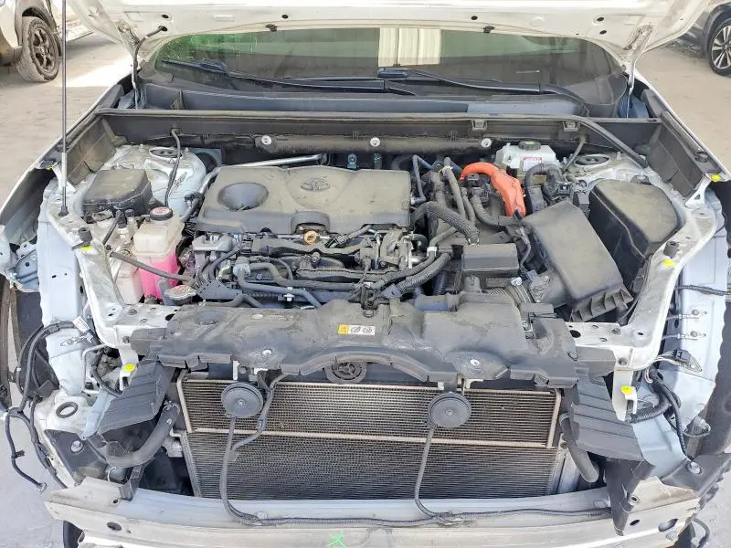2019 TOYOTA RAV4 XSE  