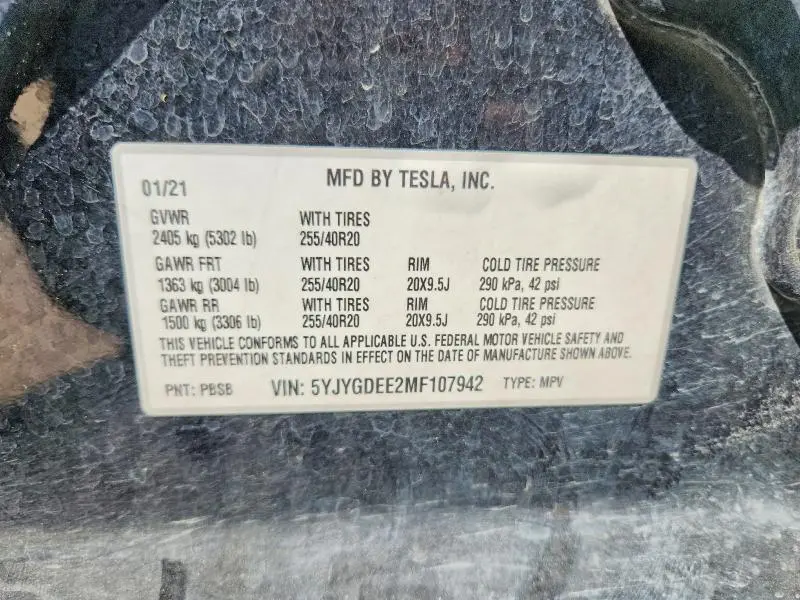 2021 TESLA MODEL Y   