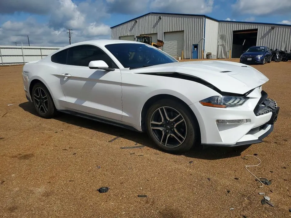 2019 FORD MUSTANG   