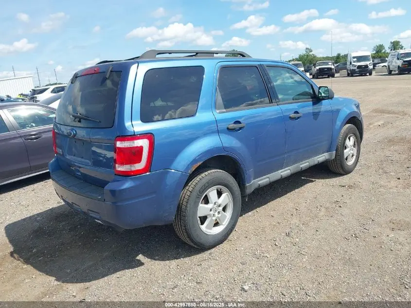 2010 FORD ESCAPE XLT
