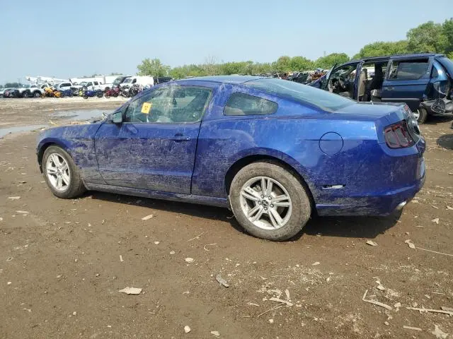 2014 FORD MUSTANG   