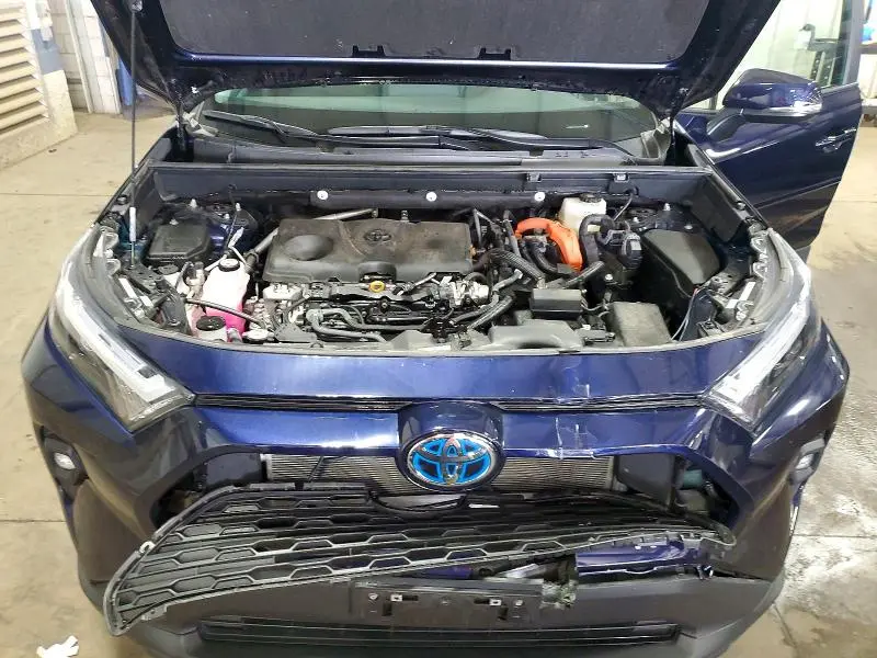 2024 TOYOTA RAV4 XLE PREMIUM  